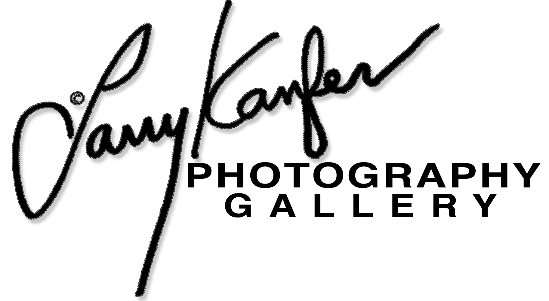 Larry Kanfer Photography Gallery